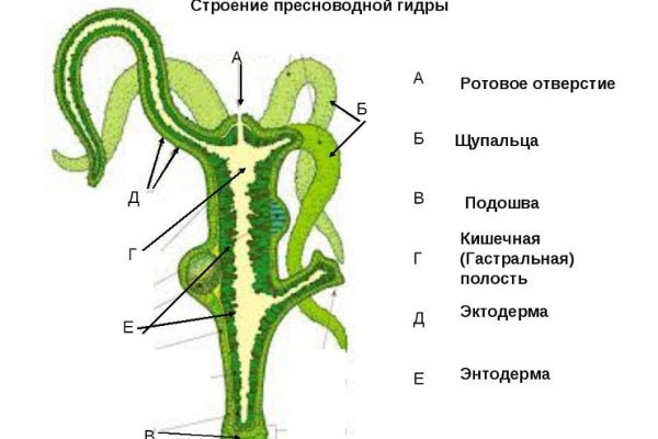 Как войти на кракен