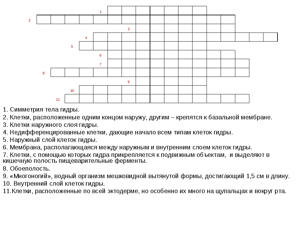 Ссылка на кракен в тор браузере