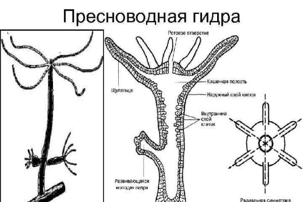 Кракен маркет даркнет тор